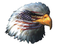 Eagle With an American Flag Overlay